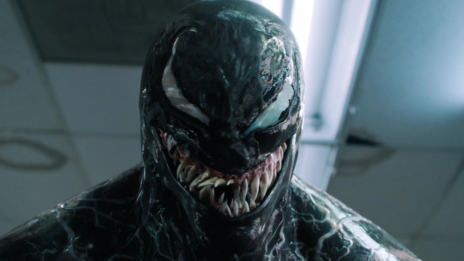 Featured image Venom Writer Almost Beat SpiderMan in Theaters
