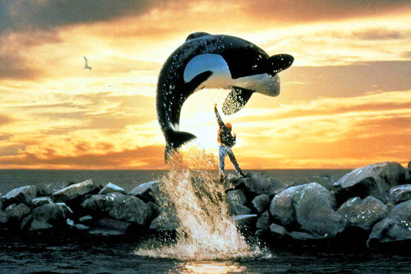 Featured image Russos Plan A Free Willy Remake