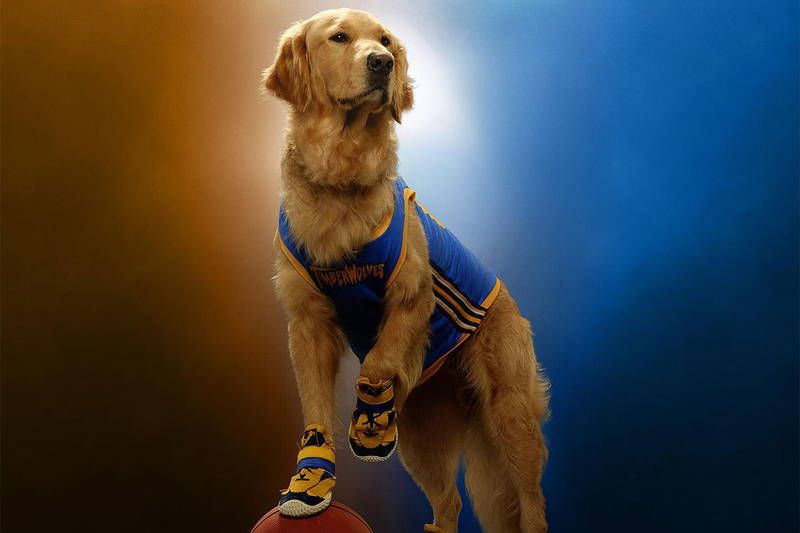 Featured image Air Bud Returns Action Teaser Trailer