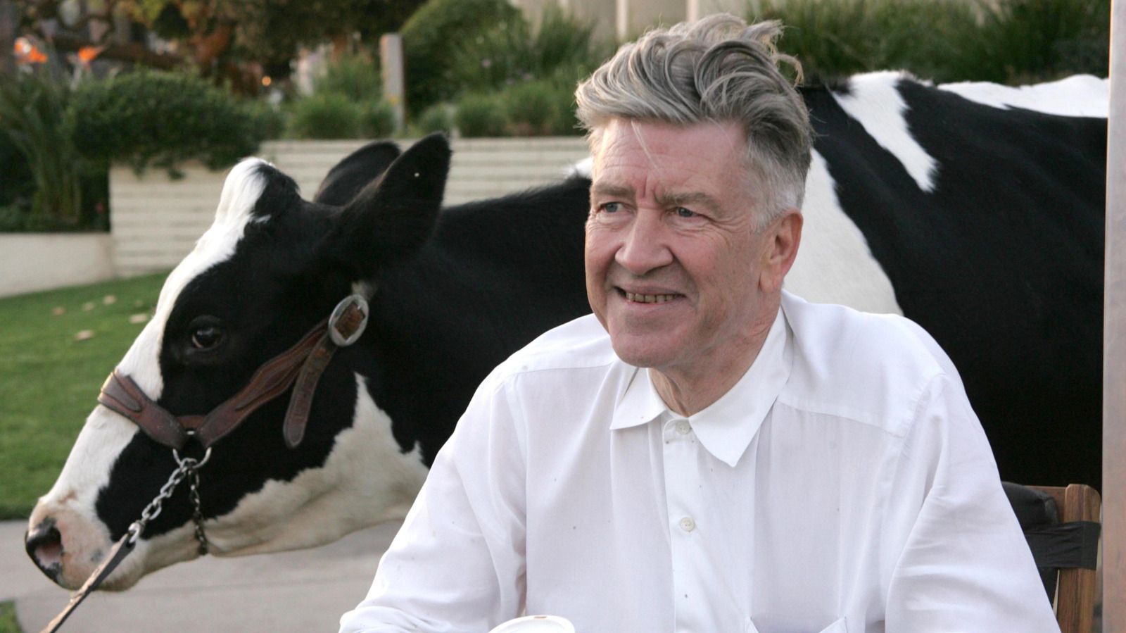 Featured image Why Art Doesnt Make Sense David Lynch quote