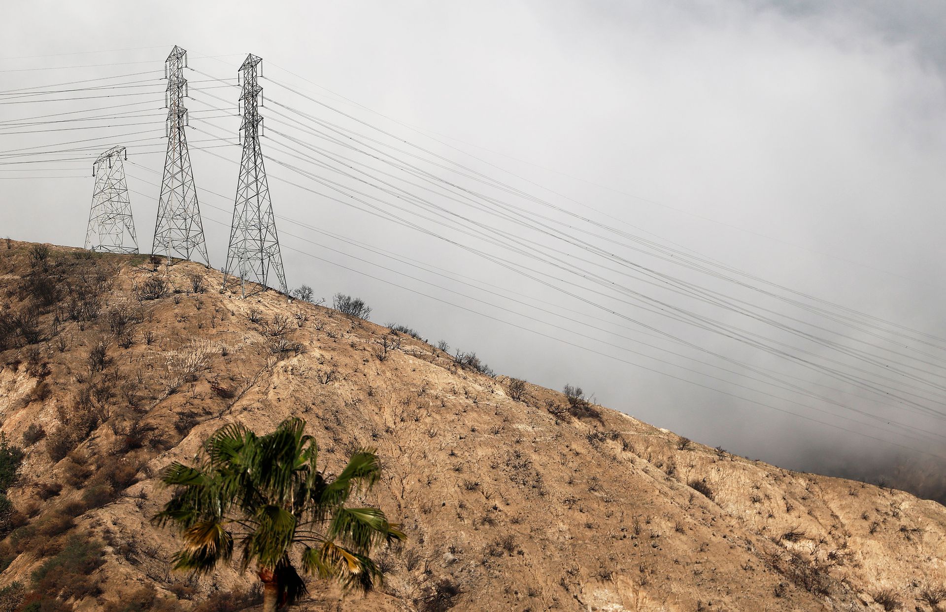 Featured image Edison Tower fire decimates Altadena investigation finds