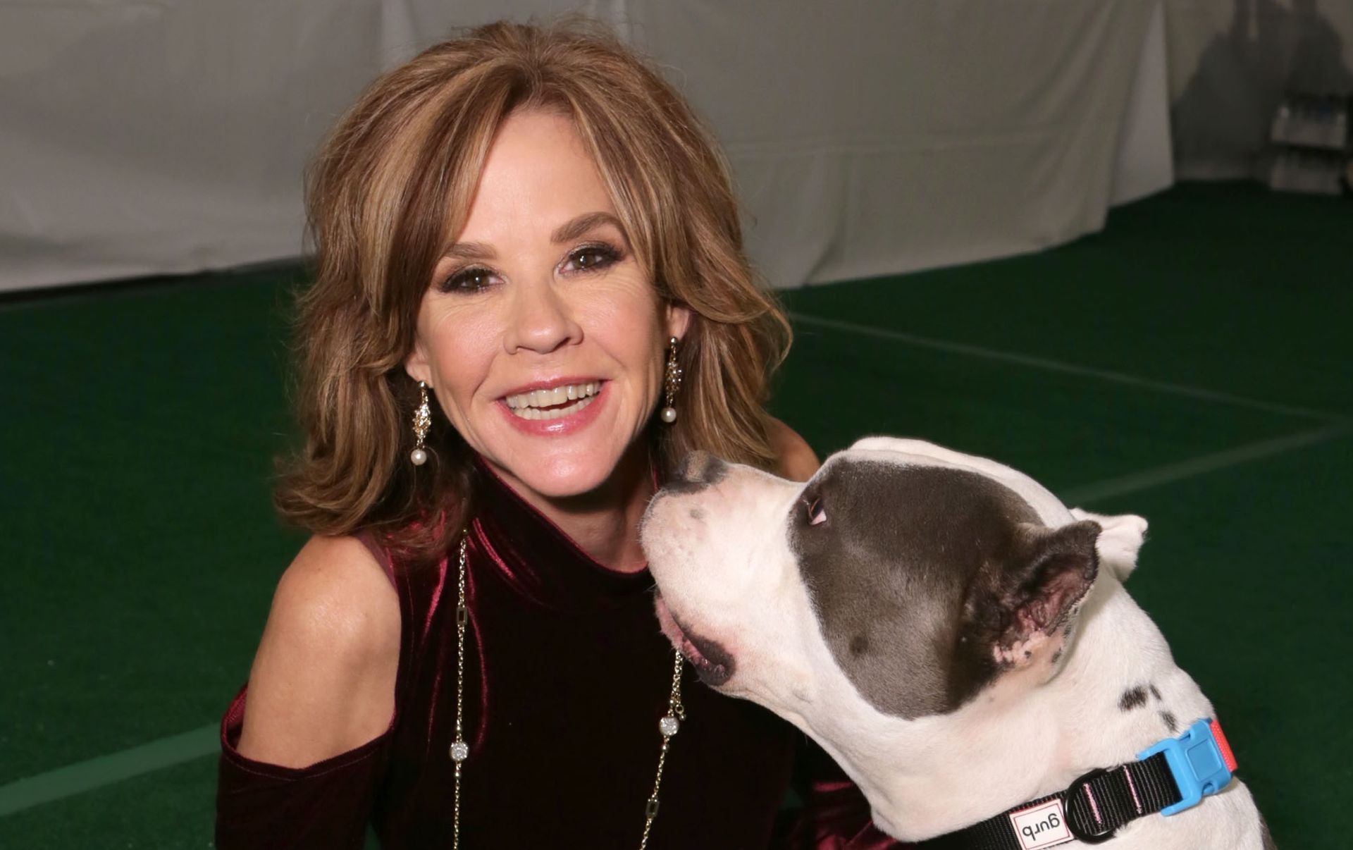 Featured image Linda Blair Search of Kennel Operation Was About Paperwork