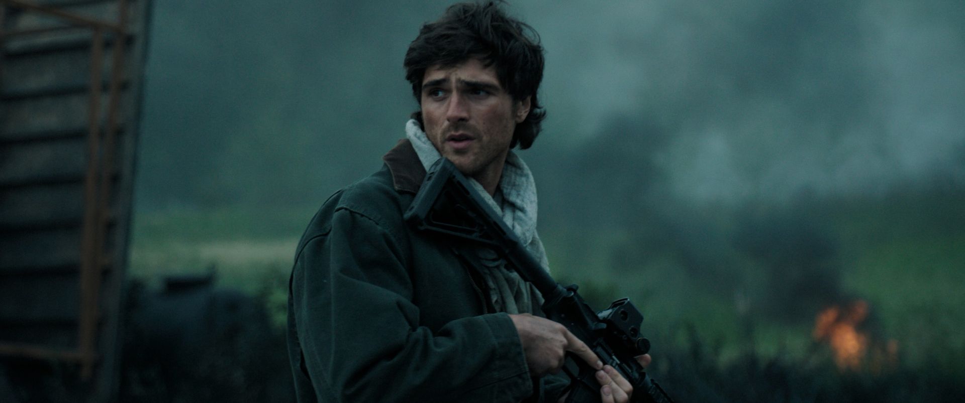 Featured image Dog Stars 8M while SpiderMan rules the box office