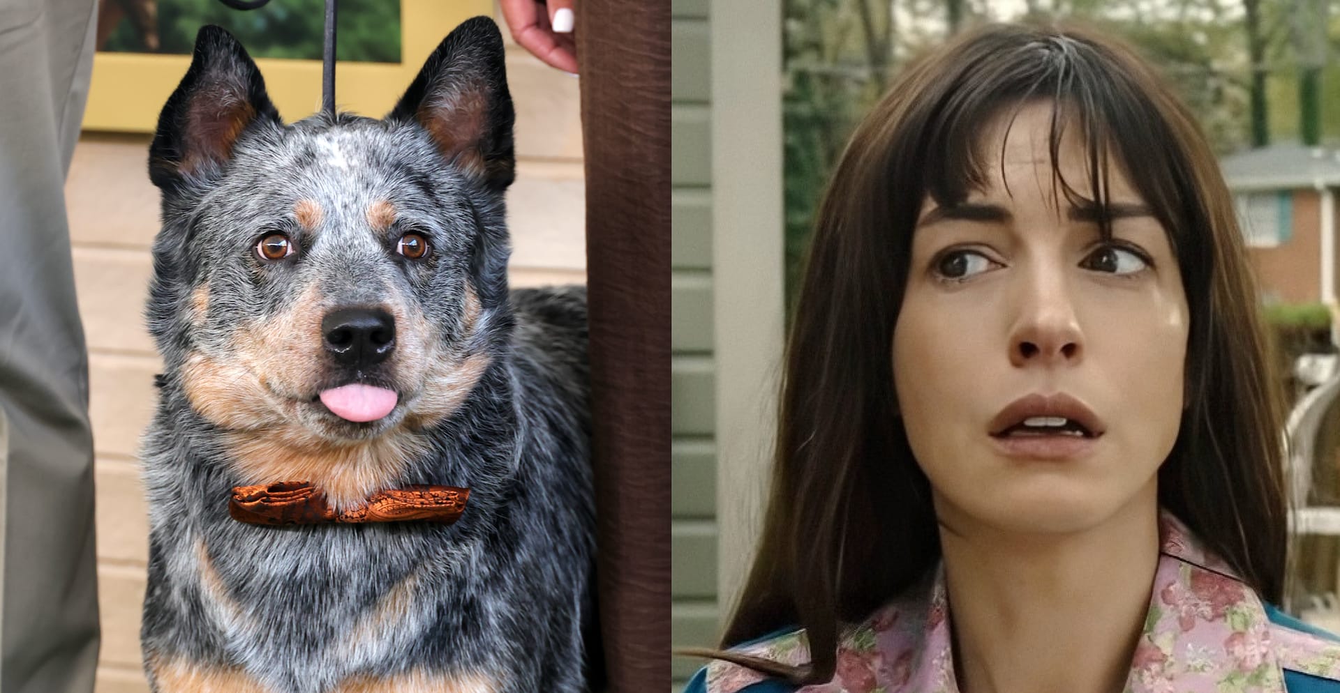 Featured image Anne Hathaway knows your worry about Starbuck in The End of Oak Street