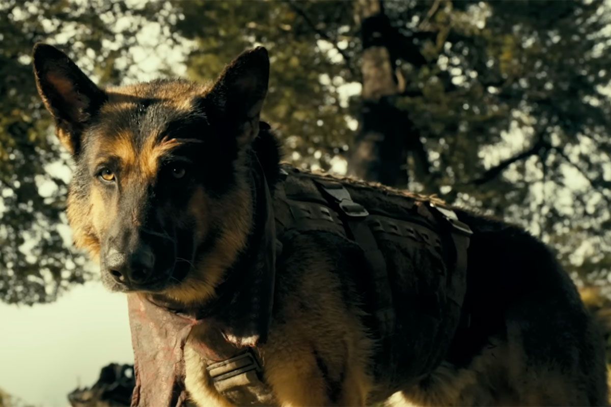 Featured image Brad Pitt in Heart of the Beast Featurette