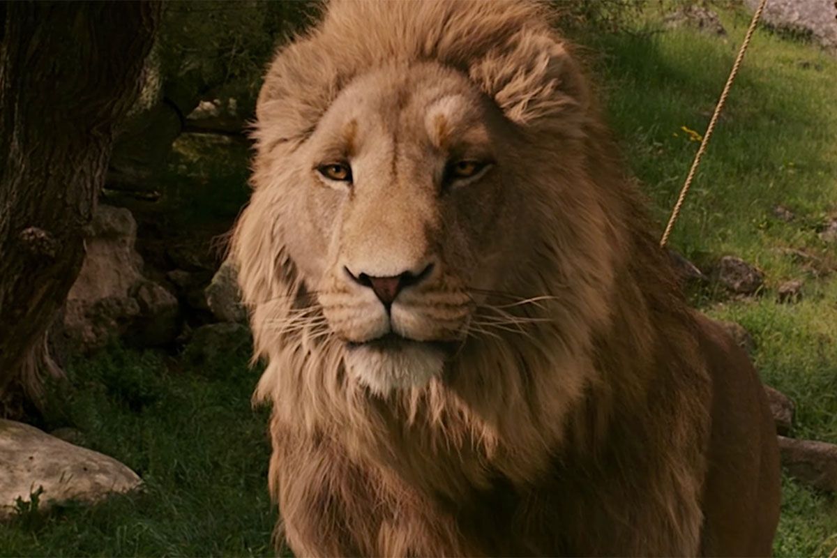 Featured image Gerwigs Narnia Filming Underway