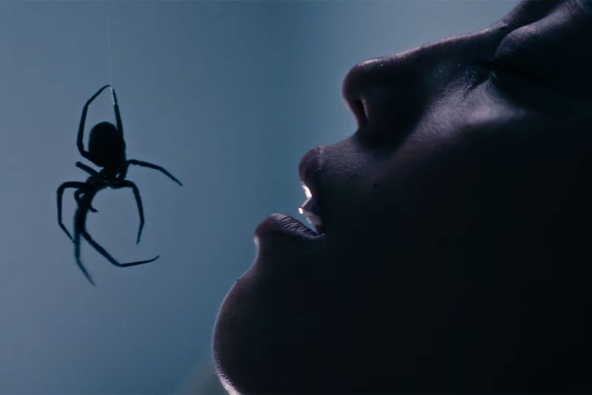 Featured image Crawlers RedBand Action Trailer