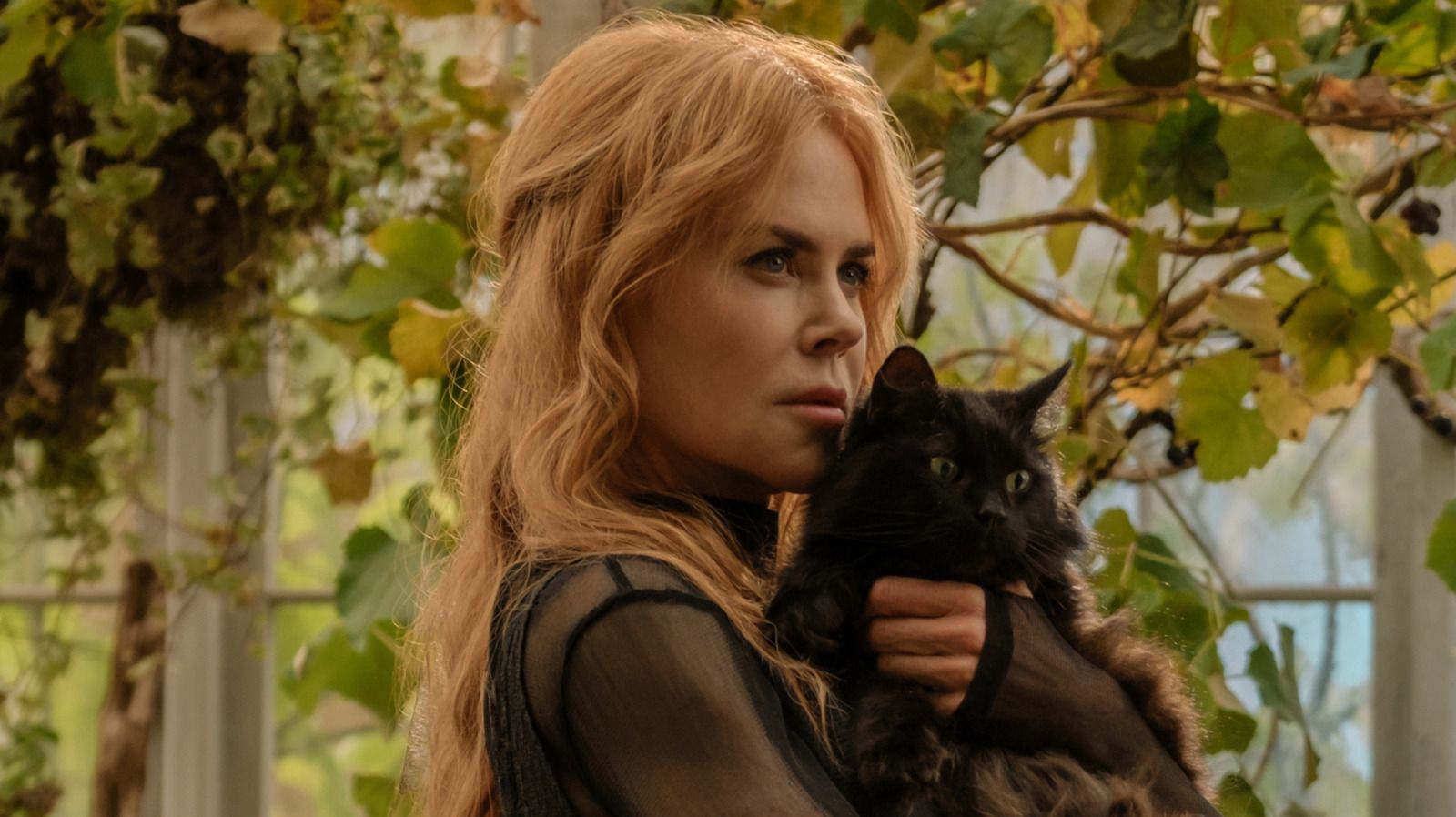 Featured image Practical Magic 2 turns a flop into a hit sequel