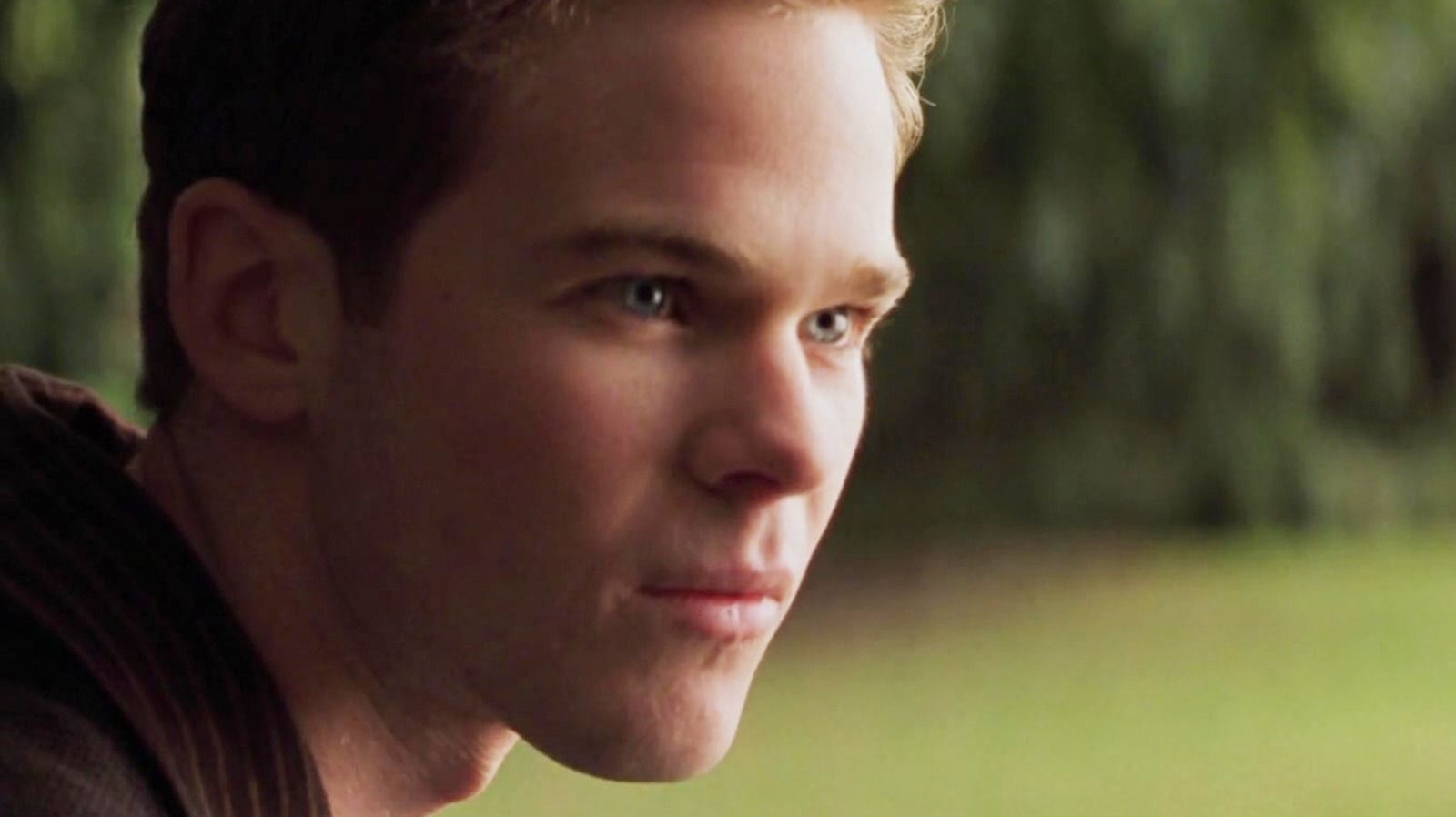 Featured image XMen star Shawn Ashmore in fantasy adaptation