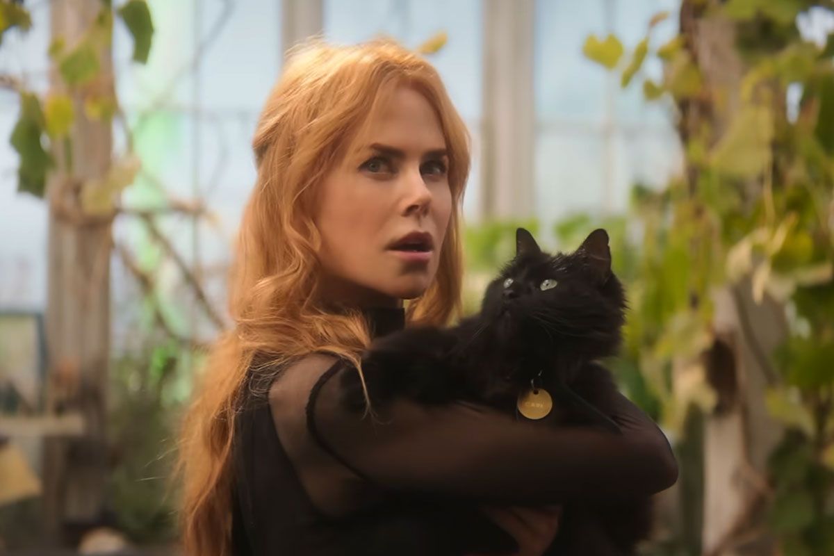 Featured image Practical Magic 2 is opening soon