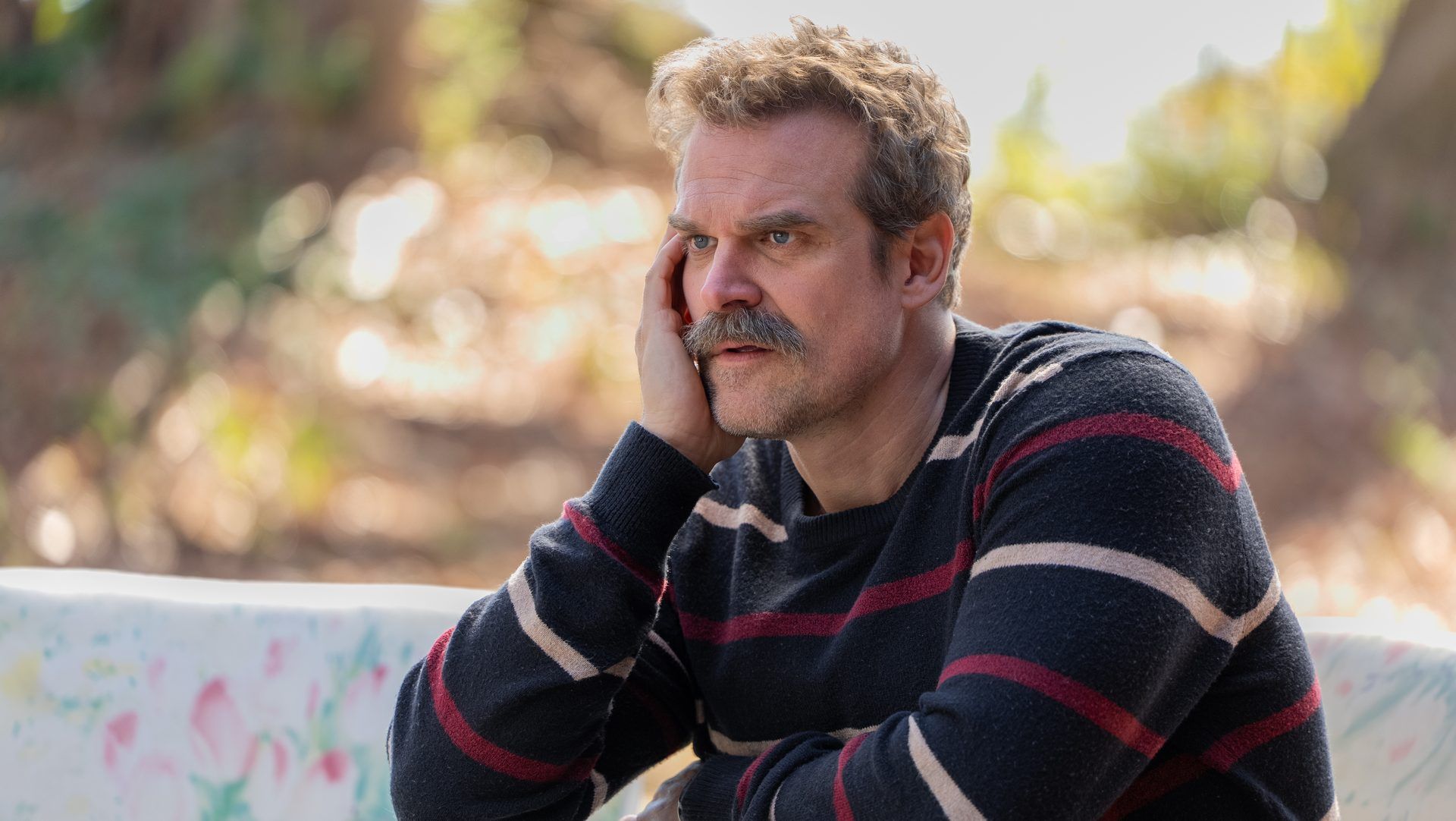 Featured image David Harbour wins Emmy for DTF St Louis thanks HBO notes
