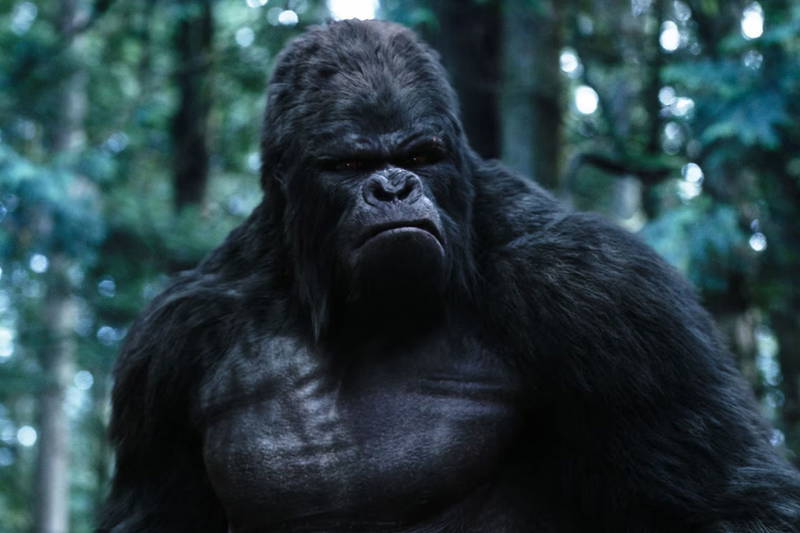 Featured image Gorilla Grodd Sings and Dances
